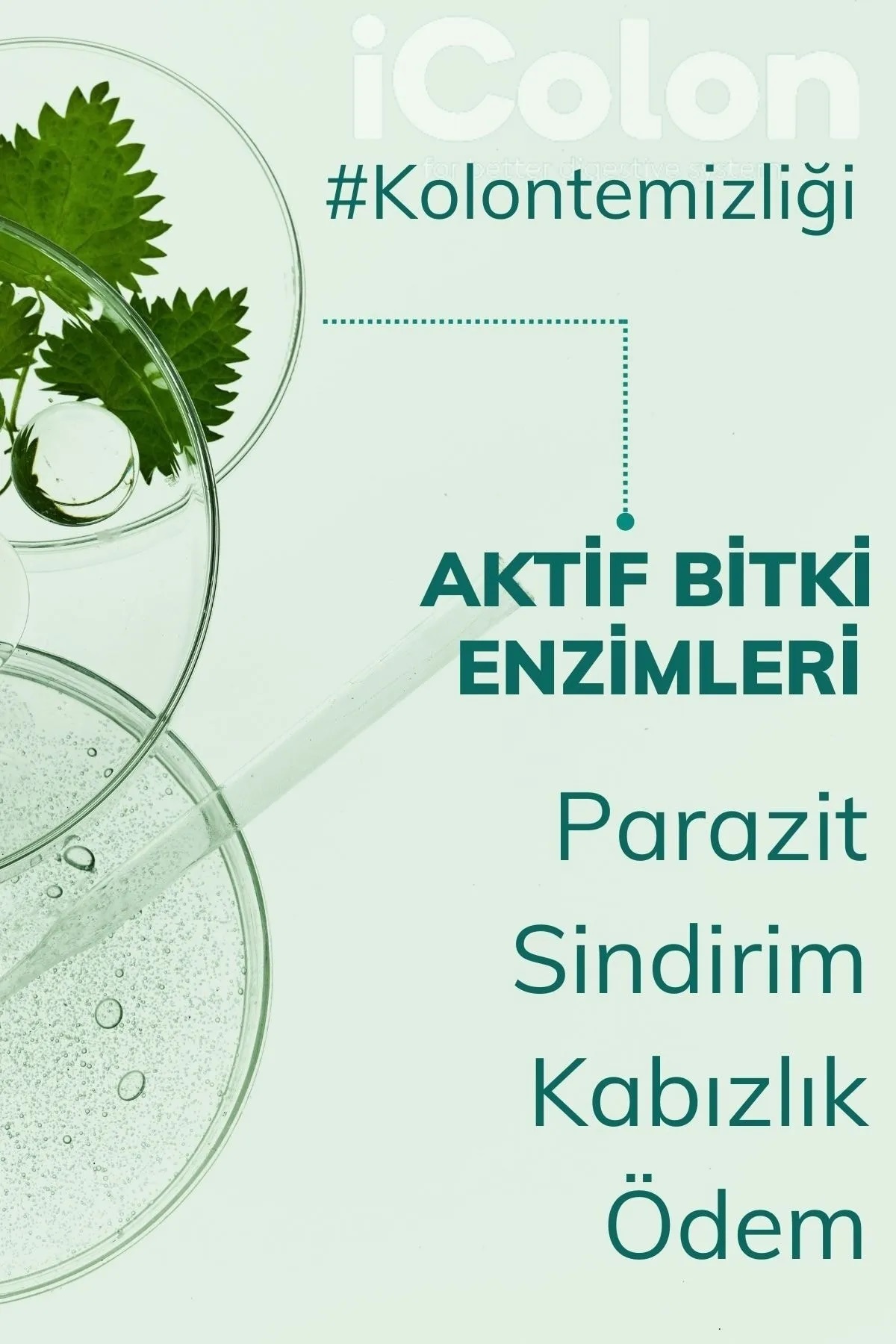 Black%20Natural%20iColon%20Probiotic%20Cure-%20iColon%20Bağırsak