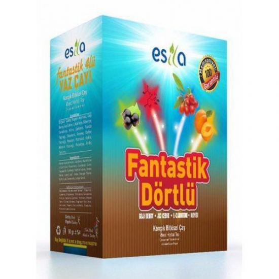 Esila Fantastik Dörtlü Bitkisel Yaz Çayı